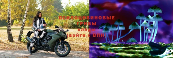первитин Ельня