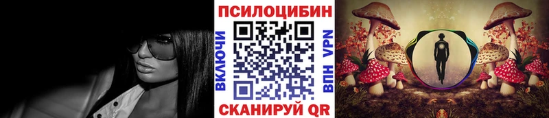 Купить где  Юрьевец  Галлюциногенные грибы Cubensis 
